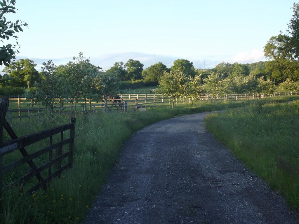 Pleck Barn B&B Ansty  Exterior foto