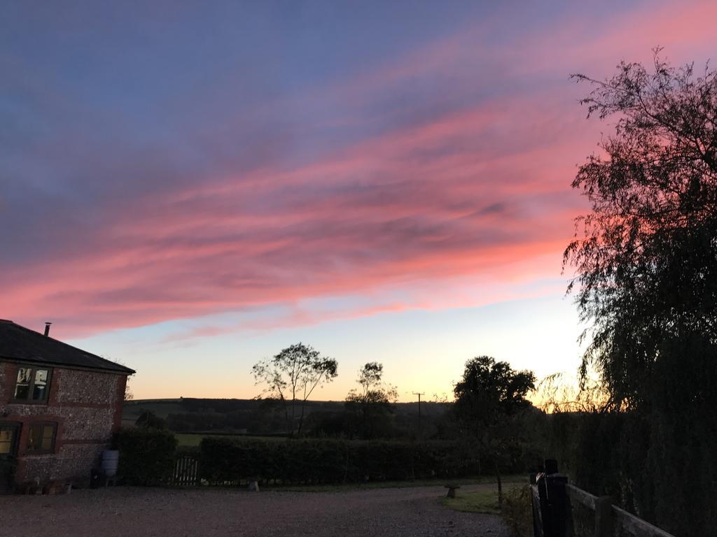 Pleck Barn B&B Ansty  Exterior foto